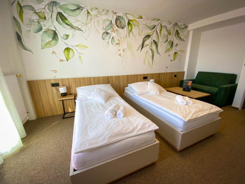 Dvoulůžkový pokoj Standard - Hotel Steelhouse